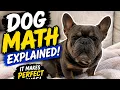 Dog Math