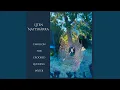 Download Lagu Pythia Saturniidae