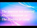 Cory Asbury - Sparrows (Lyric Video)