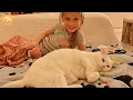 Download Lagu She Hated Everyone… Until a Little Girl Changed Her Forever