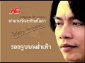 รอยจูบบนฝ่าเท้า - หลง ลงลาย