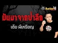 The story comes from the deep forest - Toey Phi Ruean