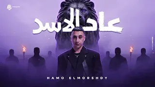 عاد الاسد ف القرود تخاف   ماشيه معانا زينه بستر ربنا   حمو المرشدي   حصريا        دندنها