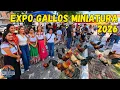 Asi es la Expo de GALLITOS MINIATURA Los Gallos MAS Pequenos de Mexico