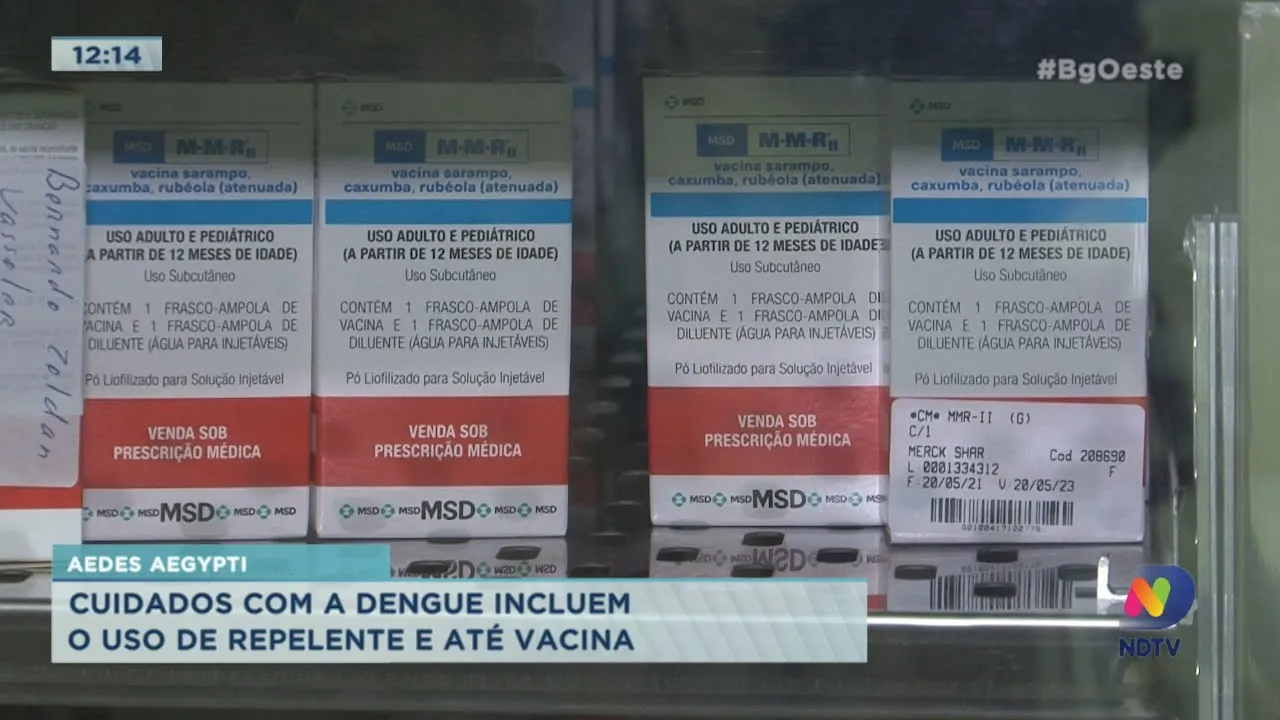 Cuidados com a Dengue incluem o uso de repelente e até vacina