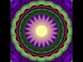 The Cosmic Trip with David Hykes