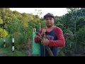 Download Lagu AMBIL BULUH RUAS//MASAK IKAN DALAM BULUH (PANSUH/LULUN)//CARA TRADITIONAL DAYAK
