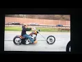 The Sugar Bear Experience Sugar Bear springer on the highway