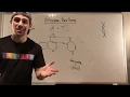 Nitrogenous Bases Their Pairing Patterns