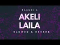 Baaghi 4: Akeli Laila (Song) | Tiger S,Sonam B,Sanjay D | Payal,Aditya,Paradox | Slowed & Reverb