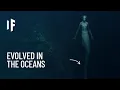 Download Lagu What If All Life on Earth Lived in the Oceans?