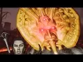 You Reposted in the Wrong Morrowind