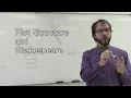 Plot Structure and Shakespeare