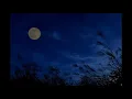 乙女のワルツ／伊藤咲子
