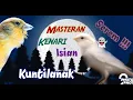 Download Lagu Masteran Kenari Isian Kuntilanak || Sadis Serem 👻