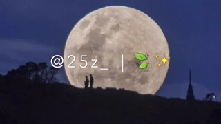 يوم اقبلت في ظلام الليل مسرع فتى نجران 