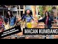 Download Lagu Macan Kumbang / Babak Ndadi Putri Gendis Sekar Wangi  / Tunggul Barat Semanu Gunungkidul