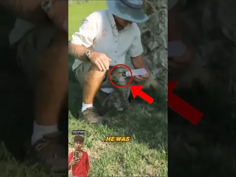 Cute leopard with friendship little dog
