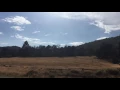 Mount Laguna San Diego County California 6 000 feet forest of Jeffrey pine