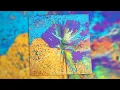 Dipsmith - Clotswana Lo-Fi House