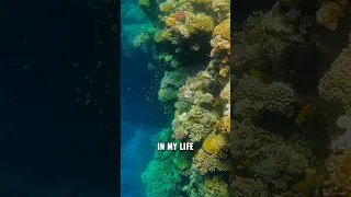 The Infamous BLUE HOLE In Egypt  The Infamous BLUE HOLE In Egypt