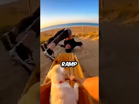 🐶Riding A Sled To Save My Puppy From Him! 😱🪵 #shorts