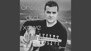                    دندنها