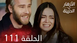 الأزهار الحزينة الحلقة 111 كاملة Kırgın Çiçekler 
