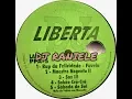 Download Lagu MIX LP LIBERTA DJ 1995 DJ RANIELE