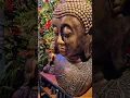 Zen Vibes at the Flower Shop sharudiaries
