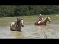 Master San Badger and Dolly Parton Swimming in the Pond - SOLD in 24 HOURS