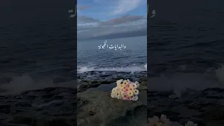 خبرينا عن حكايات الطفولة حالات واتس اب إسلامية انشودة ذكرينا بصوت جميل جدا بدون موسيقى اناشيد  خبرينا عن حكايات الطفولة حالات واتس اب إسلامية انشودة ذكرينا بصوت جميل جدا بدون موسيقى اناشيد