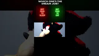 Get Paid To Sleep Or Get Paid To Eat Shorts Short Funny  Get Paid To Sleep Or Get Paid To Eat Shorts Short Funny