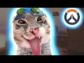 OVERWATCH EXE