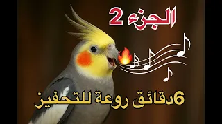 فيديو كافي لجعل الكوكتيل يغرد                                          دندنها