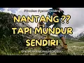 Download Lagu Tuhhh Kann!! Nantang tapi malah Mundur sendiri 😎😬 #generalreading