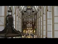 Download Lagu Voorspel en koraal  Wilhelmus van Nassouwe.  ( Dutch National Anthem)