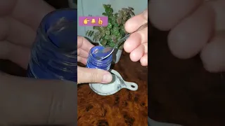 ماسك النيلة الزرقاء الحرة لتفتيح لون البشرة 