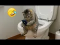 Download Lagu New Funniest Cats and Dogs Clips 2025😼🐶Try Not To Laugh😜 Part 1