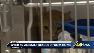 Evansville s rescue over 50 animals from home