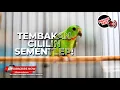 Download Lagu 🔴Lengkingan Masteran SERINDIT ISIAN CILILIN Sangat Pedas