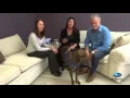 Pet of the Week Bo Duke