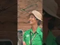 Download Lagu reaksi pevita pearce, Petugas Kebun Binatang mirip denganya🥳😂