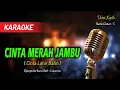 Download Lagu Karaoke CINTA MERAH JAMBU - Lavenia
