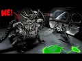 Download Lagu Evolving My Xenomorph Into The ULTIMATE Survival Experience..