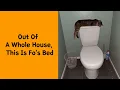 Download Lagu 50 Times Cats Malfunctioned in the Funniest Ways - Funny cat