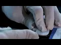 Fred Eyewear - Blue Eyes Optical