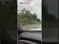 THE DAMAGE BEGINS Roads Throughout Kona Hawaii Are Littered With Downed Trees And Power Lines