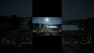 تحت حراسة القمر        لم اتحسس يدها  ثلاث اجزاء كامة دندنها