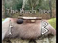 Birch Folklore Mythology and Symbolism of the Birch Tree